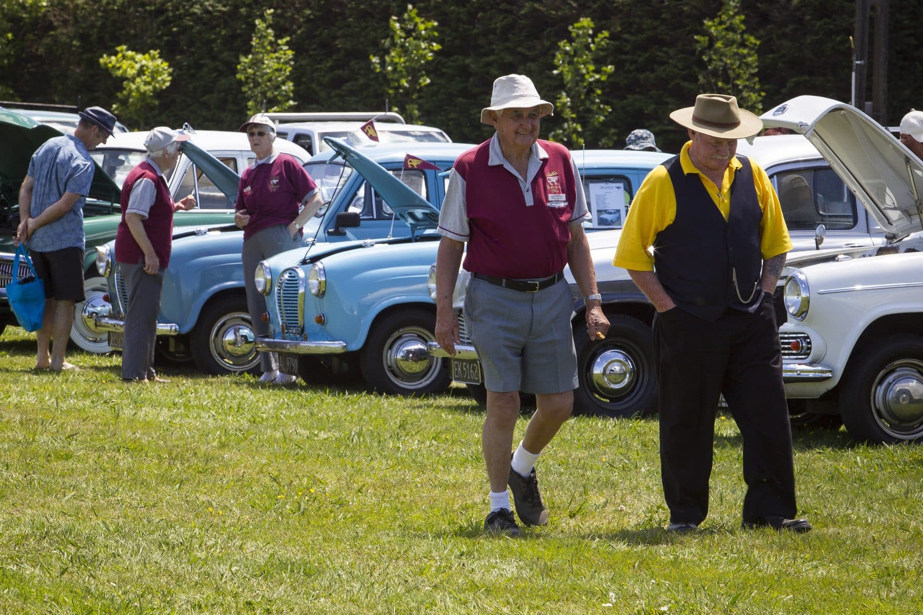 Members of a car club walking past a row of vintage cars on the grass.