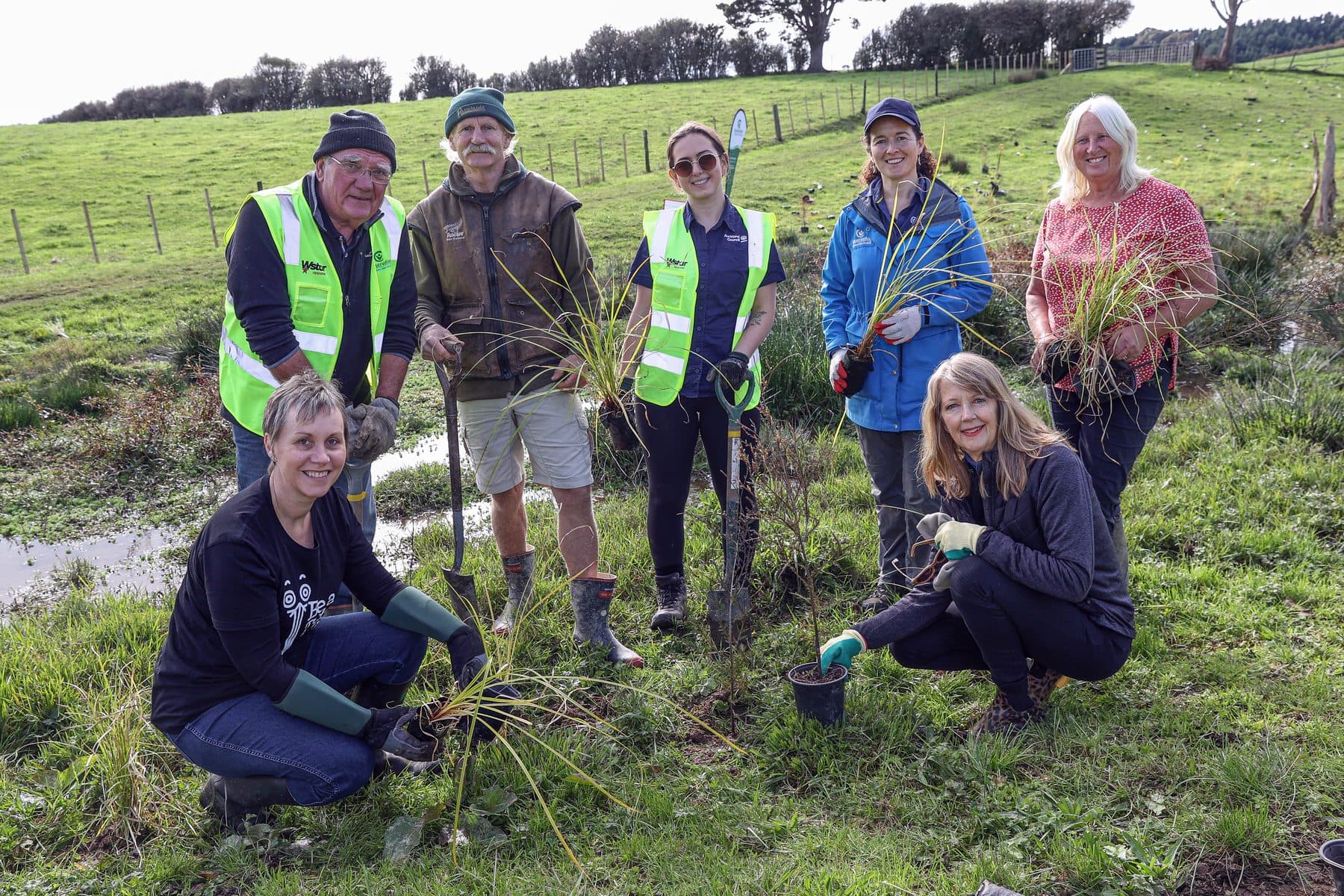 Volunteers in high-visibility vests planting native grasses on a farm hillside.